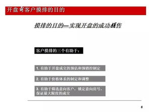 房地產(chǎn)開(kāi)盤(pán)前儲(chǔ)客與客戶摸排實(shí)戰(zhàn)技巧
